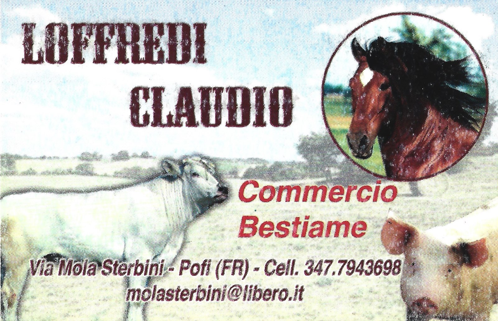 Sponsor: Scansione 2