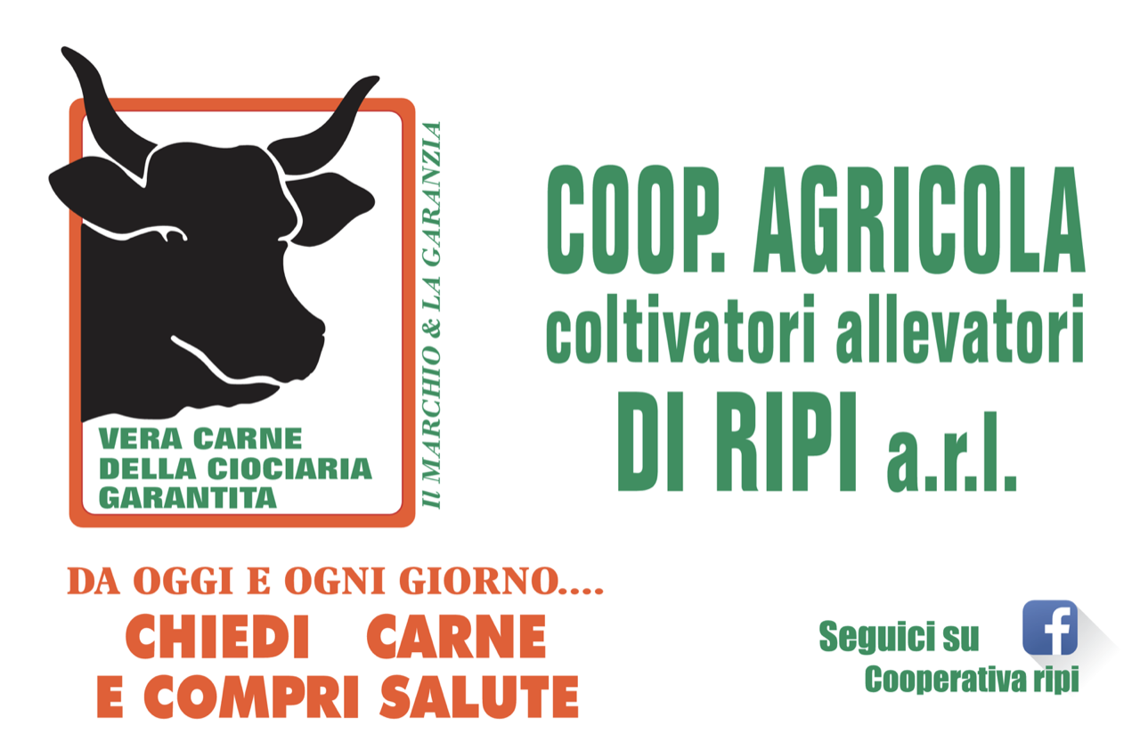 Sponsor: Scansione 45