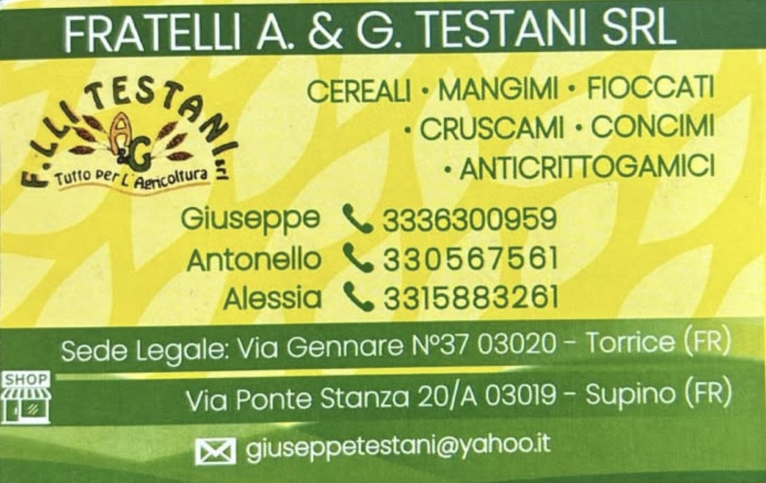 Sponsor: Scansione 65
