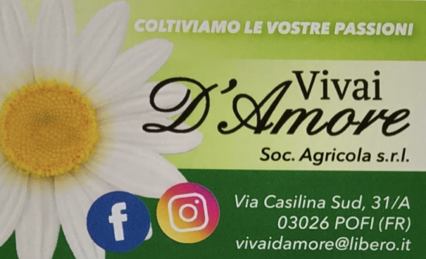 Sponsor: Scansione 77